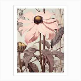 Floral Illustration Black Eyed Susan 3 Art Print