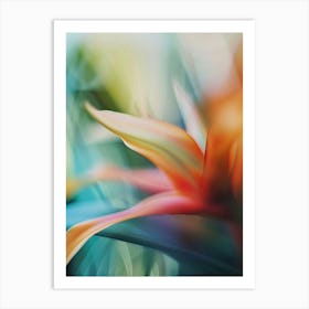 Bird Of Paradise Art Print