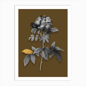 Vintage Provins Rose Black and White Gold Leaf Floral Art on Coffee Brown n.1237 Art Print