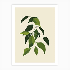 Wandering Jew Plant Minimalist Illustration 8 Art Print