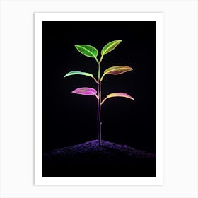 Plant Growing On A Black Background 4 Art Print