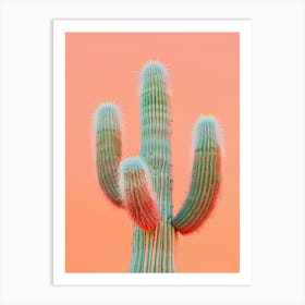 Saguaro Cactus 4 Art Print