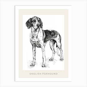 English Foxhound Dog Line Sketch 1 Poster Art Print