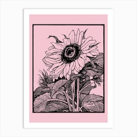 Sunflower On A Pink Background Art Print