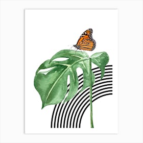 Butterfly On A Leaf Art Print