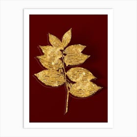 Vintage King Solomon's Seal Botanical in Gold on Red n.0324 Art Print