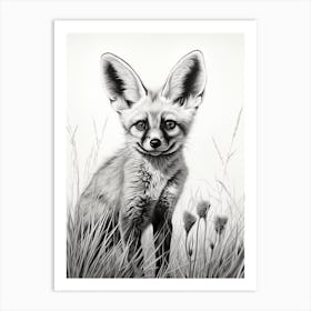 Bat Eared Fox In A Field Pencil Drawing 2 Art Print