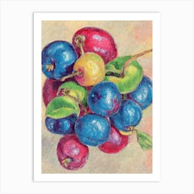 Barbados Cherry Vintage Sketch Fruit Art Print