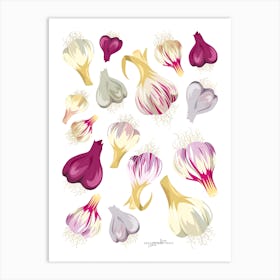 Gourmet Garlic Art Print