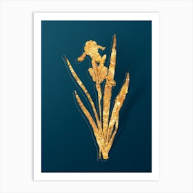 Vintage Tall Bearded Iris Botanical in Gold on Teal Blue n.0205 Art Print