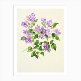 Lilac 2 Vintage Flowers Flower Art Print