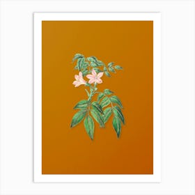 Vintage Turraea Pinnata Flower Botanical on Sunset Orange n.0123 Art Print