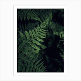 Fy! Foliage Art Print