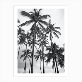 Black And White Palms Holiday Photo Art Print