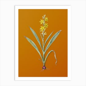 Vintage Wachendorfia Thyrsiflora Botanical on Sunset Orange n.0022 Art Print