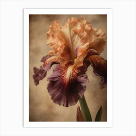 2024 May Poster Canvas Sng Iris 7 Art Print