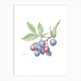 English Hedgerow Sloeberry - Botanical Wall Print Set | Floral Collection Art Print