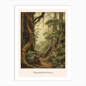 Magoebaskloof Forest Art Print