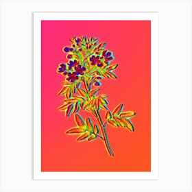 Neon Argentine Senna Botanical in Hot Pink and Electric Blue Art Print