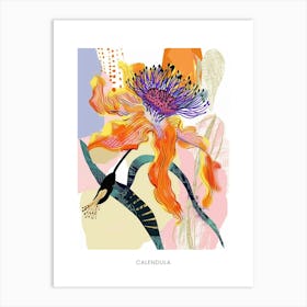 Colourful Flower Illustration Poster Calendula 1 Art Print