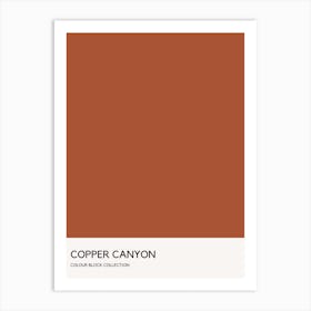 Copper Canyon Colour Block Poster Art Print