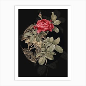 Vintage Botanical Red Gallic Rose on Circle Black on Black n.0277 Art Print