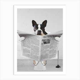 Boston Terrier Sitting On Toilet Art Print