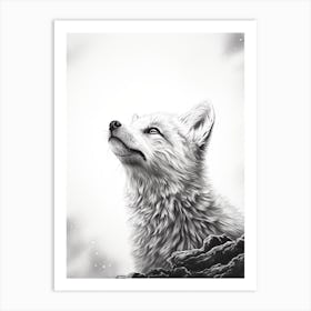 Arctic Fox Stargazing Pencil Drawing 1 Art Print