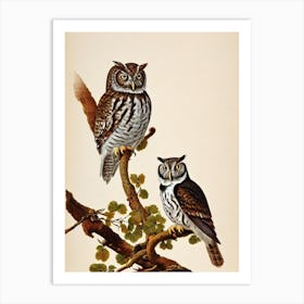 Eastern Screech Owl James Audubon Vintage Style Bird Art Print