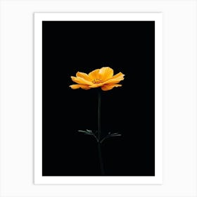 Single Yellow Flower 16 Art Print