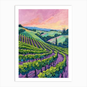 Vineyards At Sunset 1 Art Print