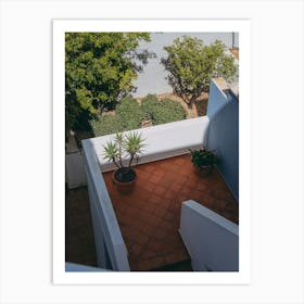 The Cactus Spotlight, Lagos, Portugal Art Print