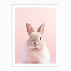 Rabbit On A Pink Background Art Print