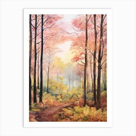 Autumn Forest Landscape Forest Of Dean England 1 Art Print