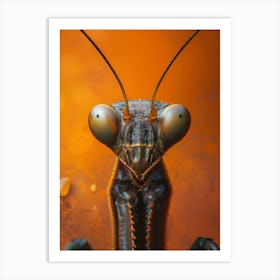 Praying Mantis Art Print