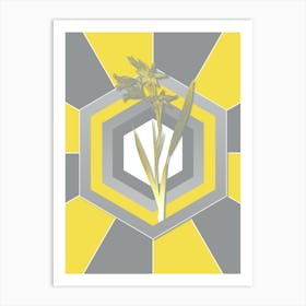 Vintage Gladiolus Cuspidatus Botanical Geometric Art in Yellow and Gray n.041 Art Print