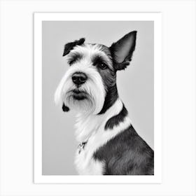 Miniature Schnauzer B&W Pencil Dog Art Print