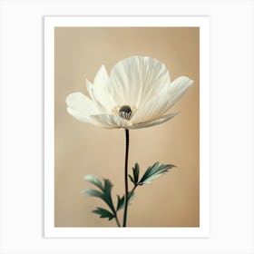 White Poppy Art Print