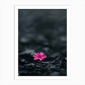 Pink Flower In Water 3 Art Print