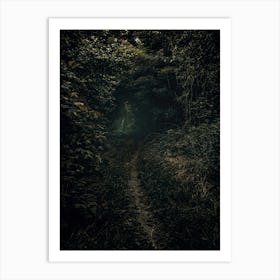 A Вark Path In A Green Forest With An Old Man. Art Print