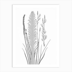 Horsetail Herb William Morris Inspired Line Drawing 1 Art Print