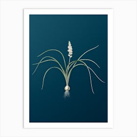 Vintage Lachenalia Angustifolia Botanical Art on Teal Blue n.0193 Art Print