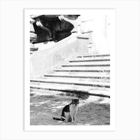 Cat Of The Mansion, Black And White St Sebastian, Spain Art Print