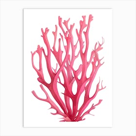 Coral Reef 4 Art Print