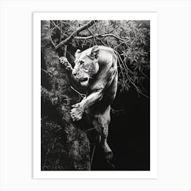 Barbary Lion Charcoal Drawing Panthera Leo Leo Climbing A Tree 1 Art Print