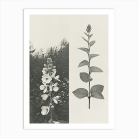 Snapdragon Flower Photo Collage 1 Art Print