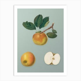 Vintage Apple Botanical Art on Mint Green n.0453 Art Print