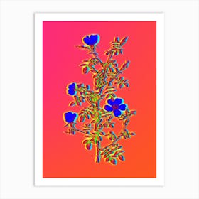 Neon Hedge Rose Botanical in Hot Pink and Electric Blue n.0281 Art Print