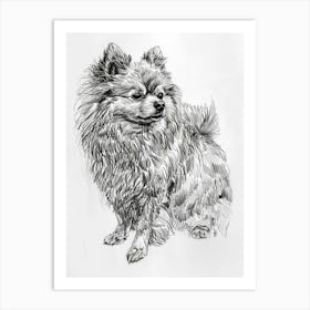 Pomeranian Line Sketch 1 Art Print