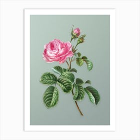 Vintage Provence Rose Botanical Art on Mint Green n.0404 Art Print